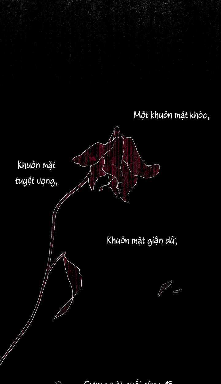 Xuyên Sách Đến Phát Ngán Chapter 2 trang 78