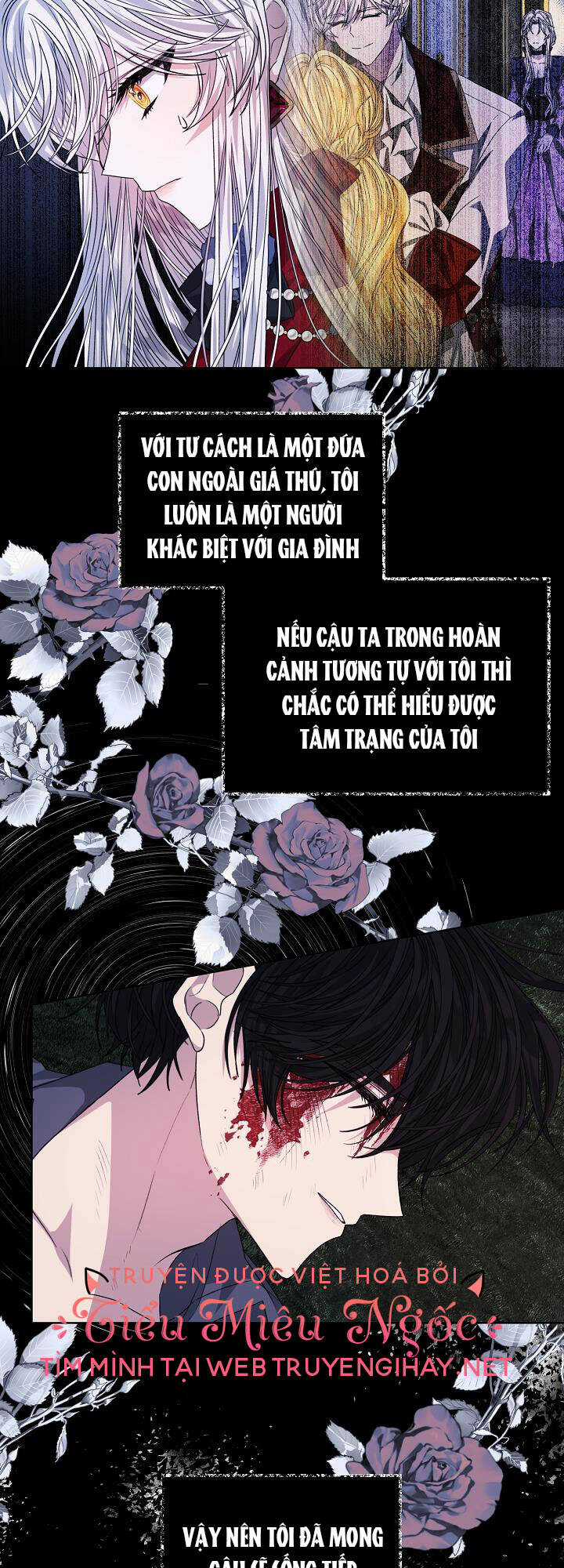 Xuyên Sách Đến Phát Ngán Chapter 23 trang 15