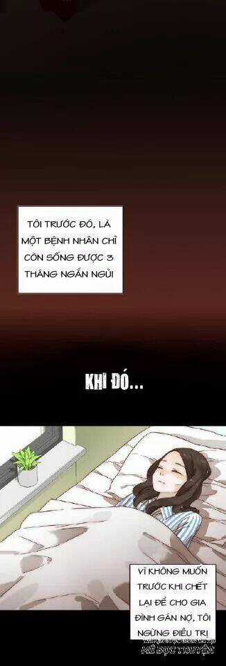 Xuyên Vào Tiểu Thuyết - Nữ Phụ Muốn Sống! Chapter 3 trang 5