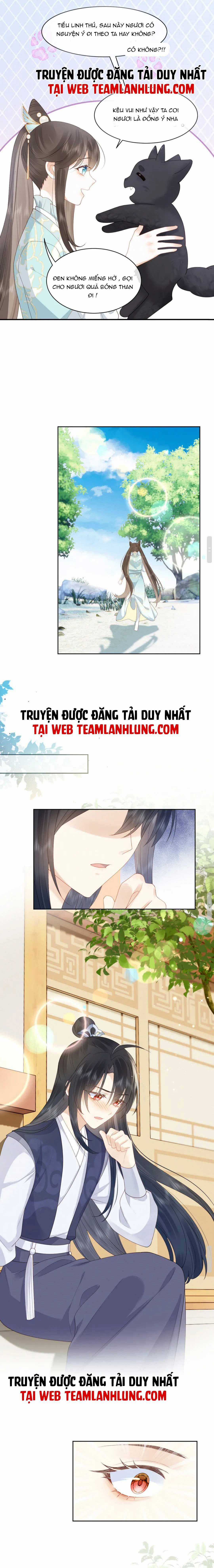 XUYÊN VÀO TIỂU THUYẾT : TA BẢO VỆ PHU QUÂN ỐM YẾU ĐÁNG THƯƠNG Chapter 5 trang 6