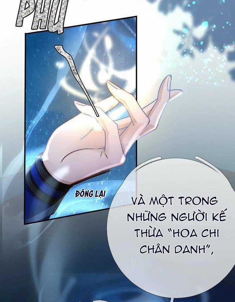 Xuyên Về Cổ Đại Làm Nữ Phụ Vô Dụng Chapter 40 trang 20
