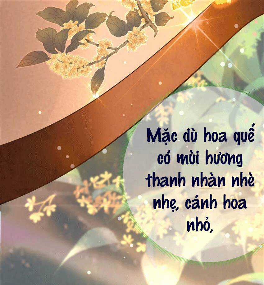 Xuyên Về Cổ Đại Làm Nữ Phụ Vô Dụng Chapter 43 trang 36