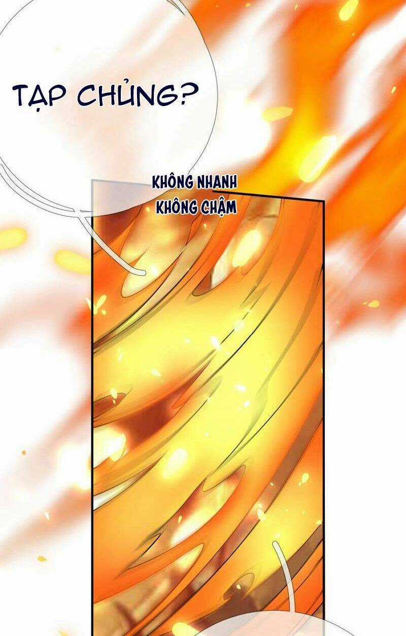 Xuyên Về Cổ Đại Làm Nữ Phụ Vô Dụng Chapter 46 trang 40