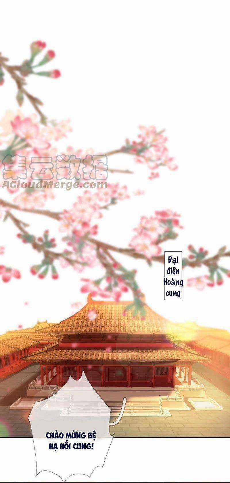 Xuyên Về Cổ Đại Làm Nữ Phụ Vô Dụng Chapter 48 trang 2