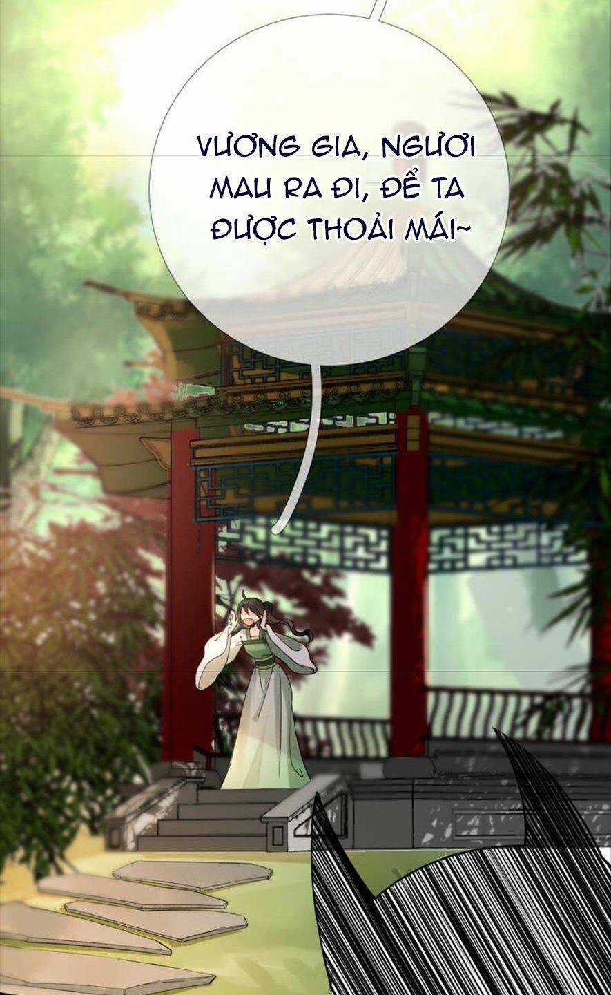 Xuyên Về Cổ Đại Làm Nữ Phụ Vô Dụng Chapter 54 trang 14
