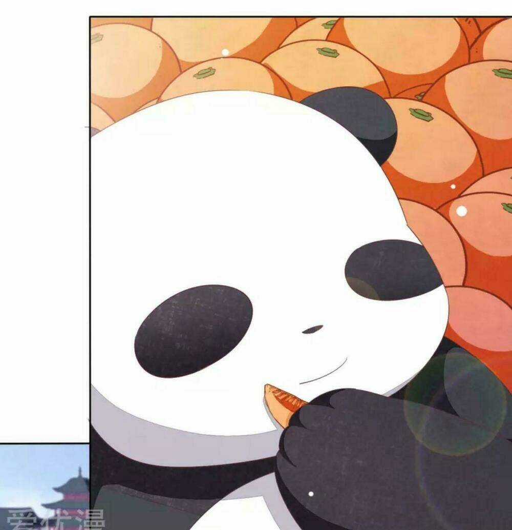 Xuyên Về Cổ Đại Làm Quốc Bảo Chapter 10 trang 13