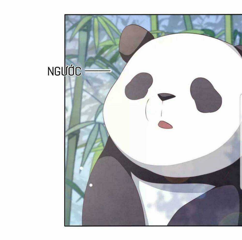 Xuyên Về Cổ Đại Làm Quốc Bảo Chapter 6 trang 23