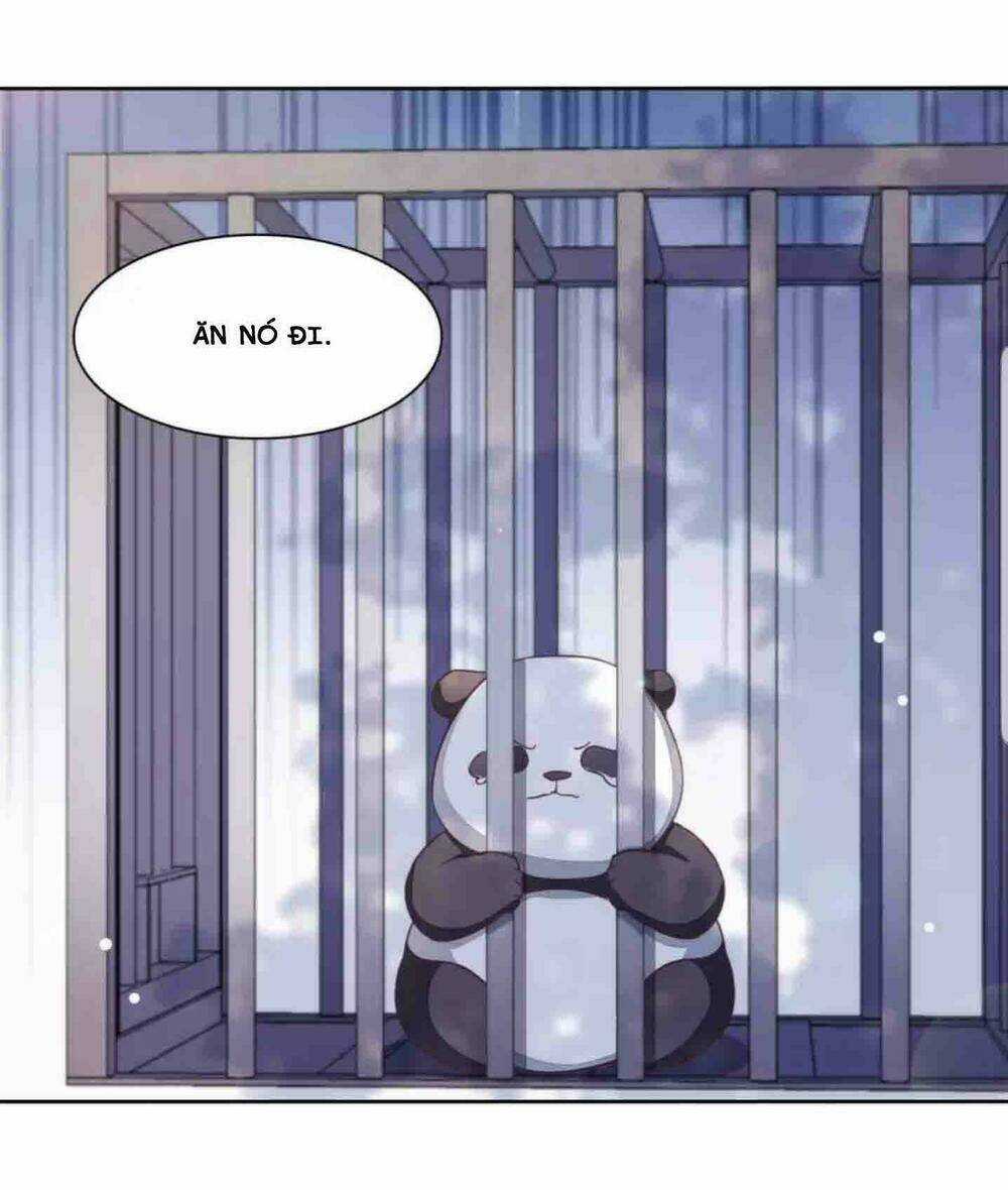 Xuyên Về Cổ Đại Làm Quốc Bảo Chapter 6 trang 4