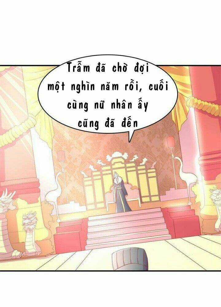 Xuyên Việt Chi Hồ Vương Đích Chuyên Sủng Chapter 2 trang 20