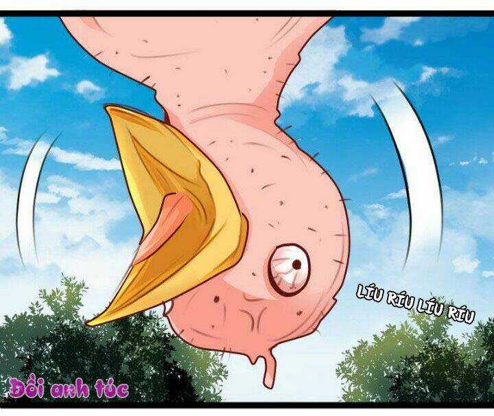 Xuyên Việt Chi Hồ Vương Đích Chuyên Sủng Chapter 35 trang 8