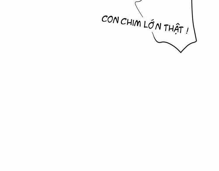 Xuyên Việt Chi Thiên Tâm Linh Chapter 11.5 trang 15