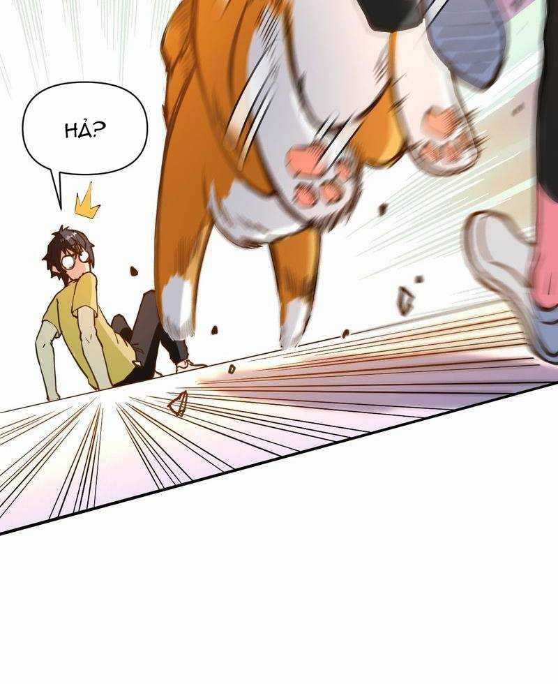 Xuyên Việt Tu Chân Thế Giới, Nhưng Ta Có Thể Lướt Mạng. Chapter 1 trang 22