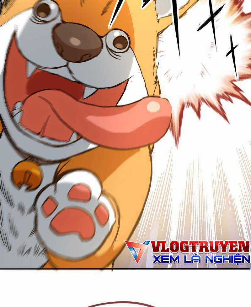 Xuyên Việt Tu Chân Thế Giới, Nhưng Ta Có Thể Lướt Mạng. Chapter 1 trang 24