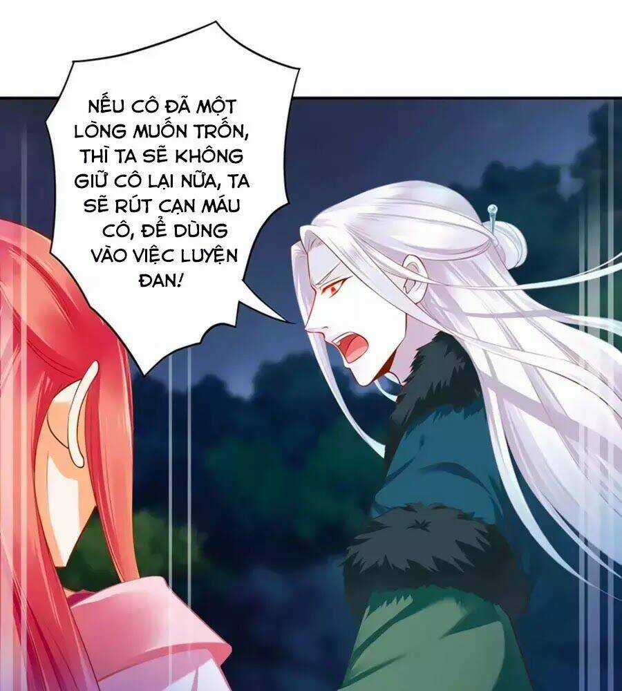 Xuyên Việt Vương Phi Yếu Thăng Cấp Chapter 117 trang 44