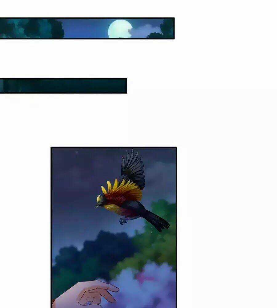 Xuyên Việt Vương Phi Yếu Thăng Cấp Chapter 124 trang 44