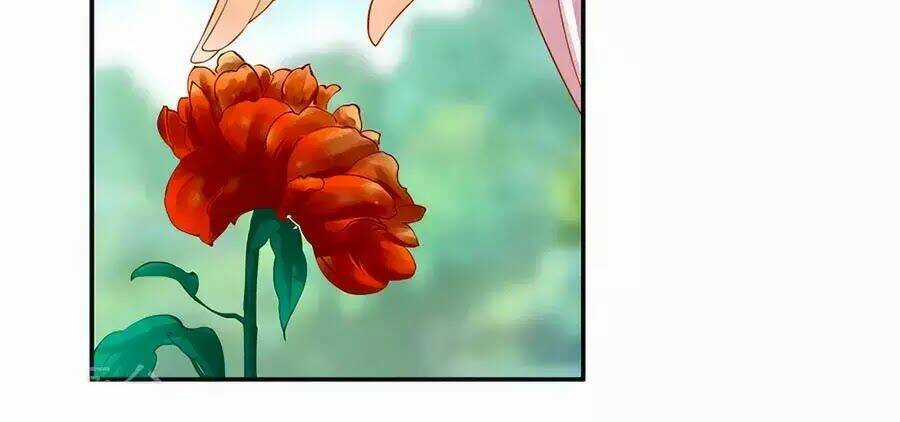 Xuyên Việt Vương Phi Yếu Thăng Cấp Chapter 135 trang 4