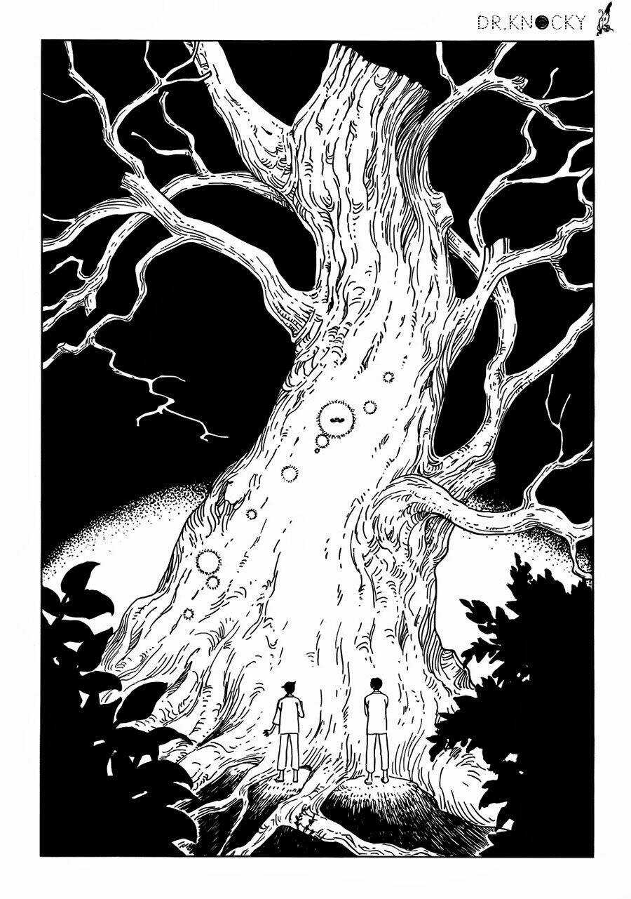 Xxxholic Rei Chapter 15 trang 11