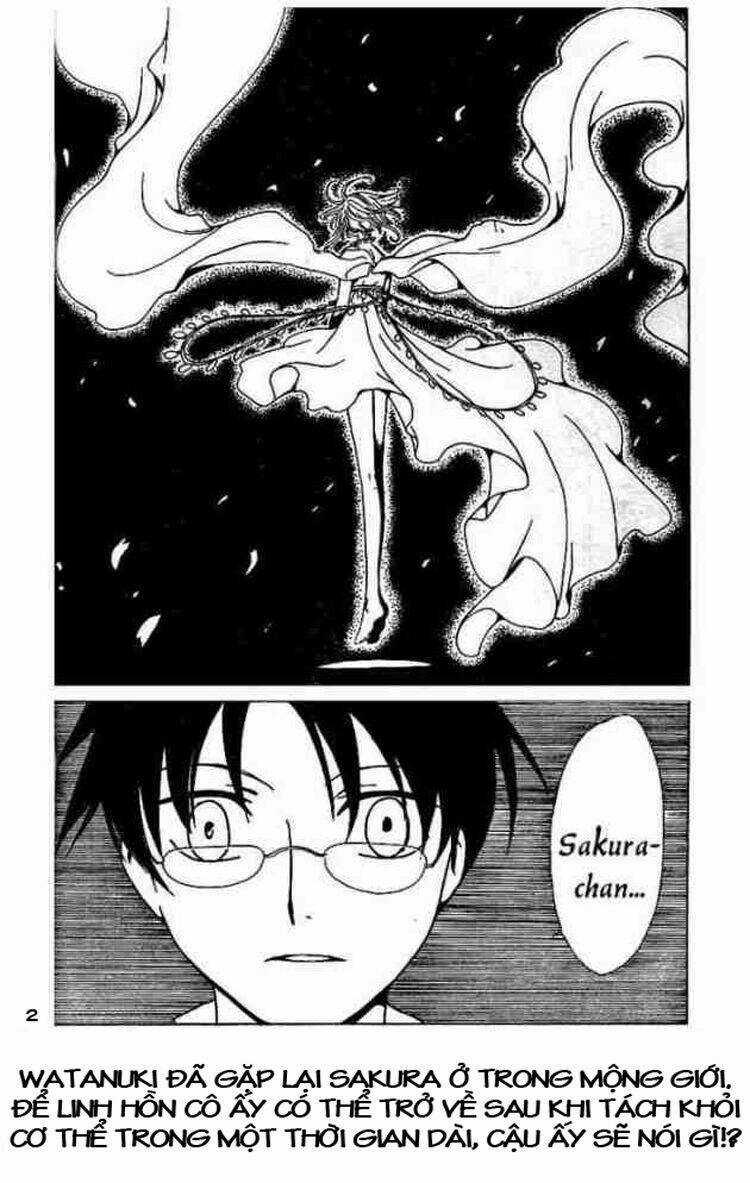 Xxxholic Chapter 75 trang 1