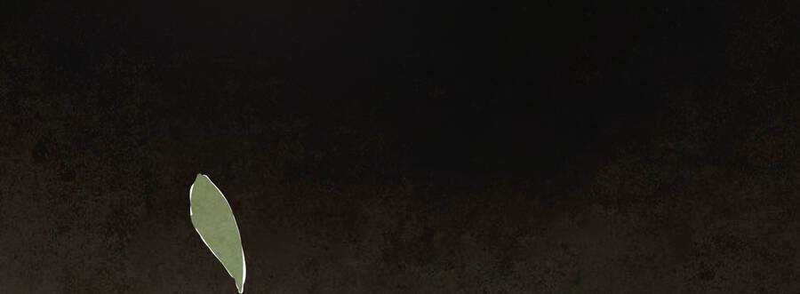 Ý Chí Dũng Sĩ 2 Chapter 6 trang 42