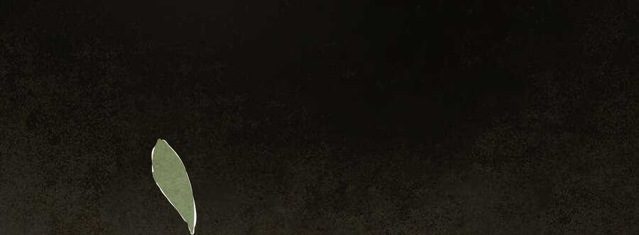 Ý Chí Dũng Sĩ 2 Chapter 6 trang 53