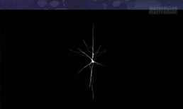 Ý Chí Dũng Sĩ Chapter 10 trang 8