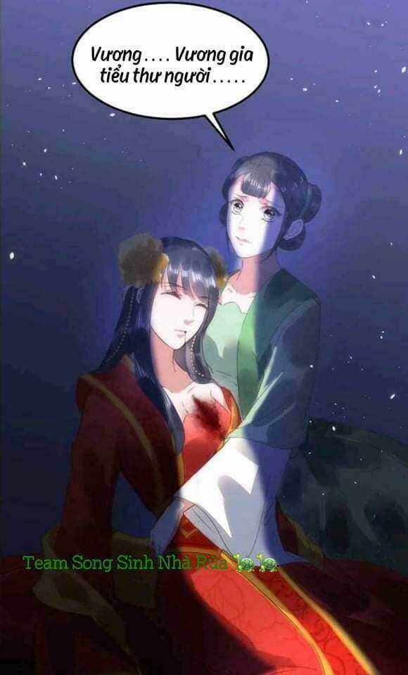 Y Phi Khuynh Thành - Vương Phi Muốn Hưu Phu Chapter 2 trang 17