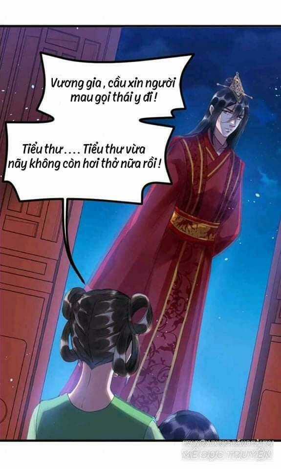 Y Phi Khuynh Thành - Vương Phi Muốn Hưu Phu Chapter 2 trang 20