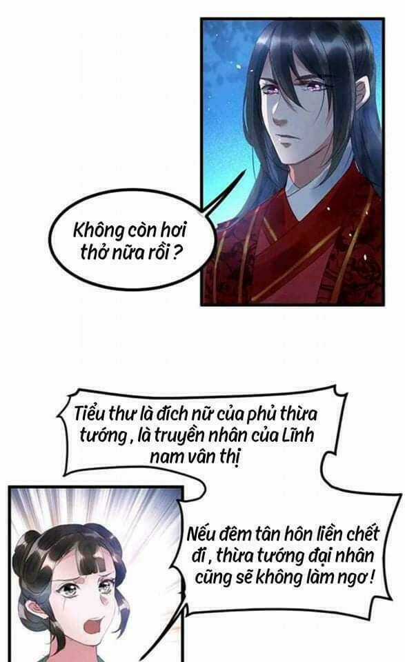 Y Phi Khuynh Thành - Vương Phi Muốn Hưu Phu Chapter 2 trang 21