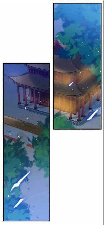 Y Phi Khuynh Thành - Vương Phi Muốn Hưu Phu Chapter 2 trang 4