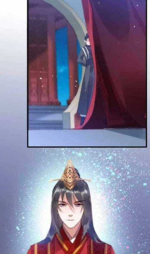 Y Phi Khuynh Thành - Vương Phi Muốn Hưu Phu Chapter 2 trang 9