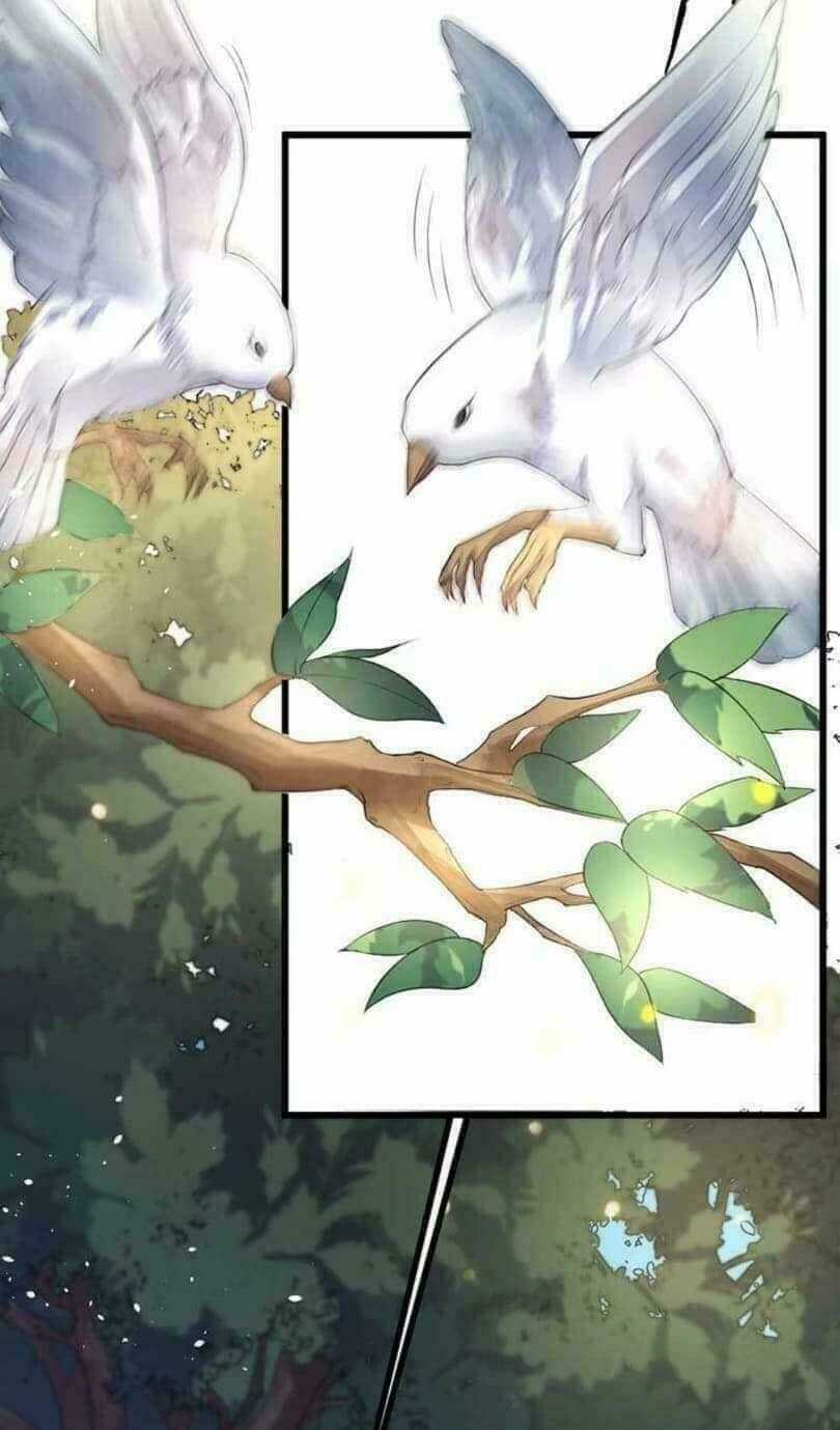 Y Phi Khuynh Thành - Vương Phi Muốn Hưu Phu Chapter 5 trang 4