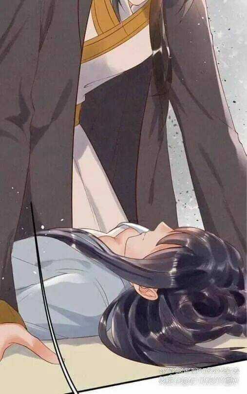 Y Phi Khuynh Thành - Vương Phi Muốn Hưu Phu Chapter 7 trang 11