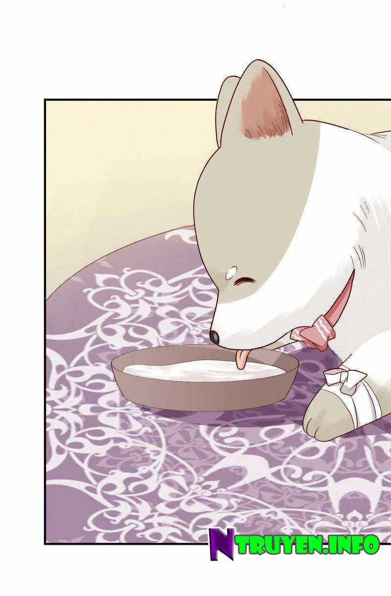 Y Tá Ngọt Ngạo Của Hoàng Trữ Chapter 28 trang 22