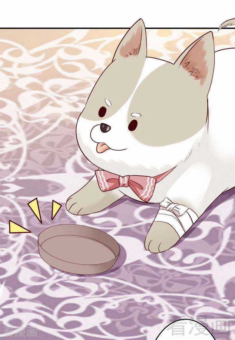 Y Tá Ngọt Ngạo Của Hoàng Trữ Chapter 28 trang 23
