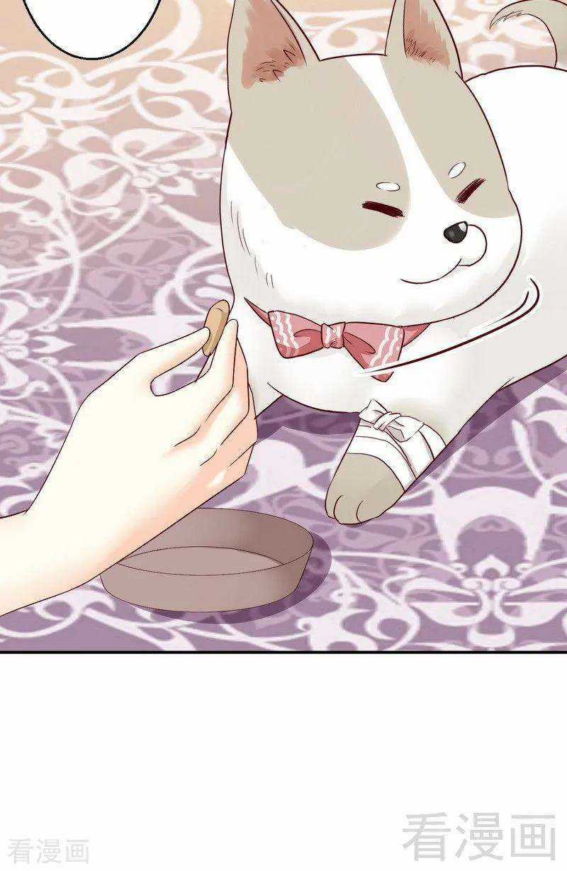 Y Tá Ngọt Ngạo Của Hoàng Trữ Chapter 28 trang 25