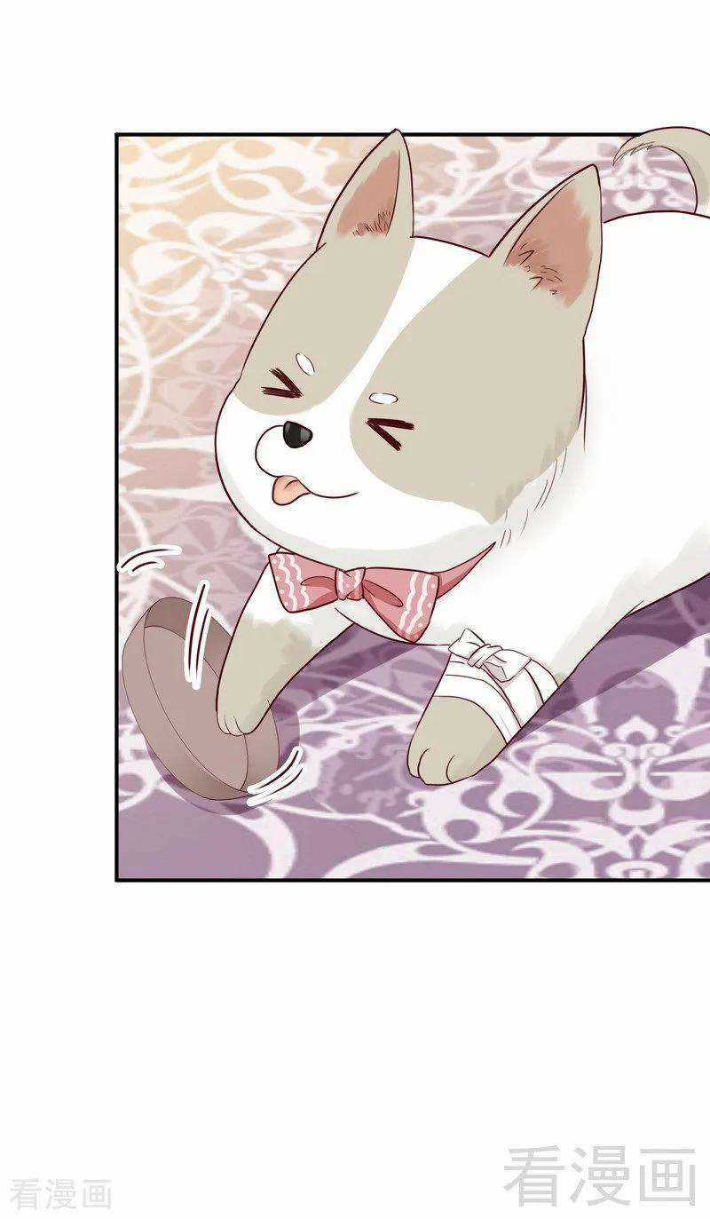 Y Tá Ngọt Ngạo Của Hoàng Trữ Chapter 28 trang 30
