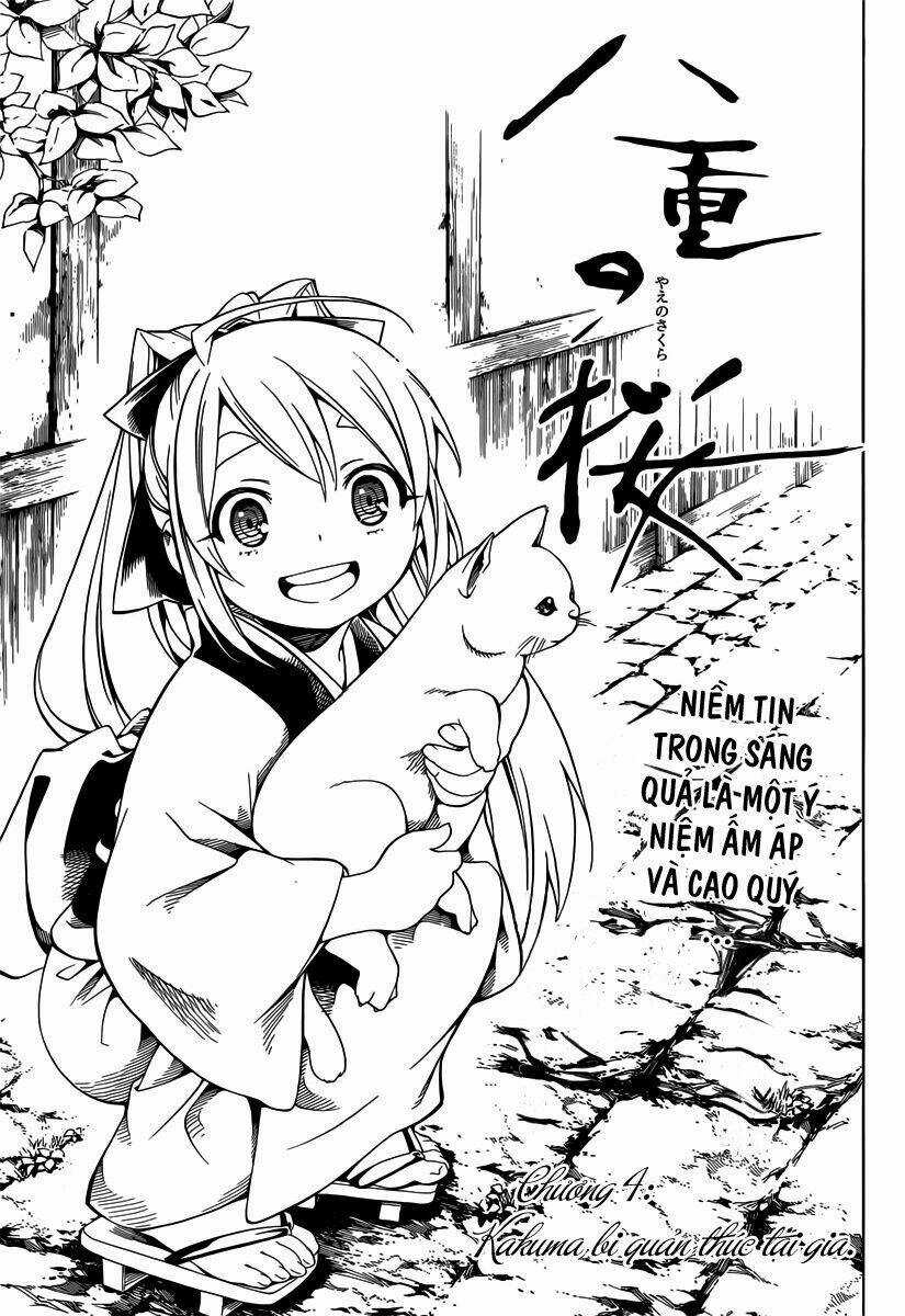 Yae No Sakura Chapter 4 trang 4