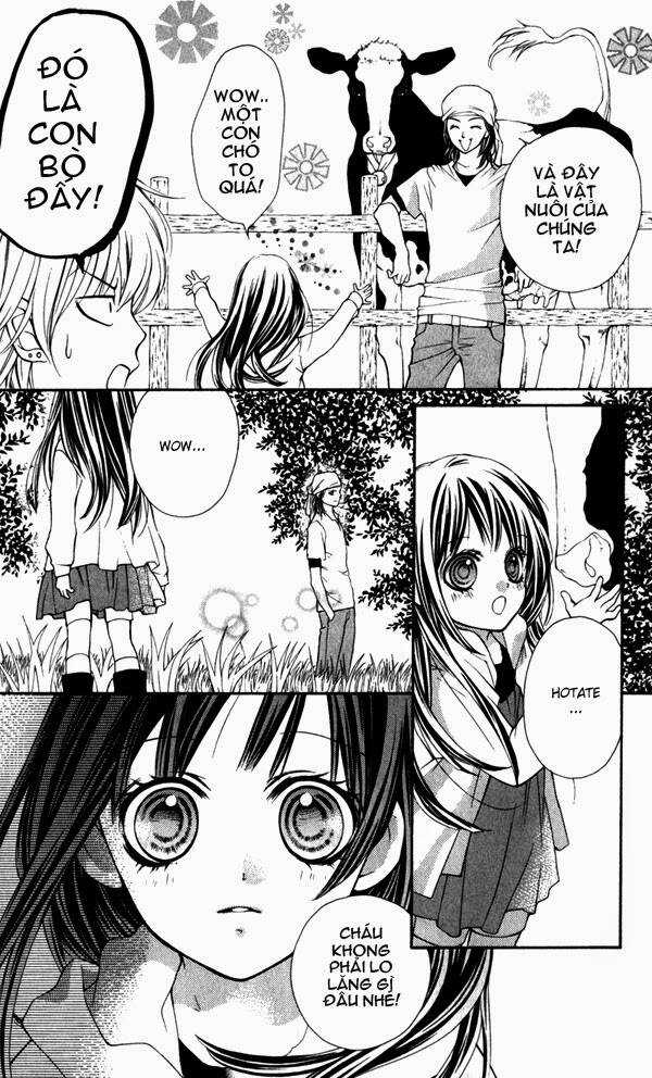 Yamamoto Zenjirou To Moushimasu Chapter 1 trang 23