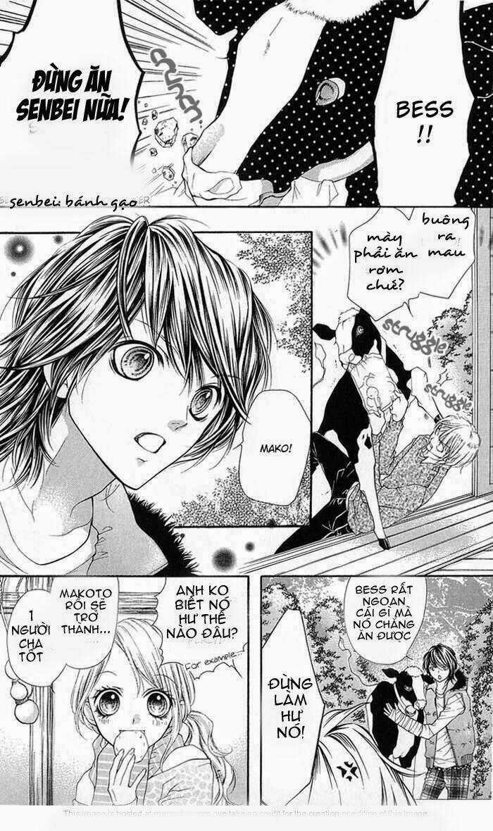 Yamamoto Zenjirou To Moushimasu Chapter 11 trang 5