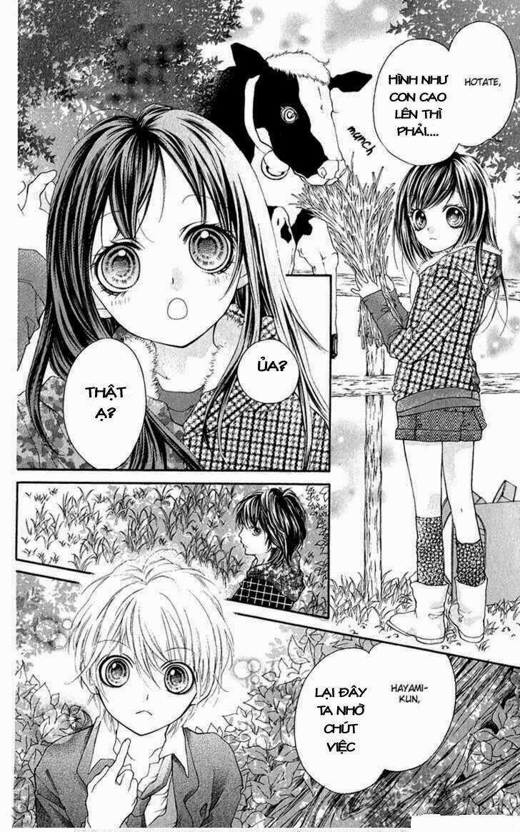 Yamamoto Zenjirou To Moushimasu Chapter 14.1 trang 5