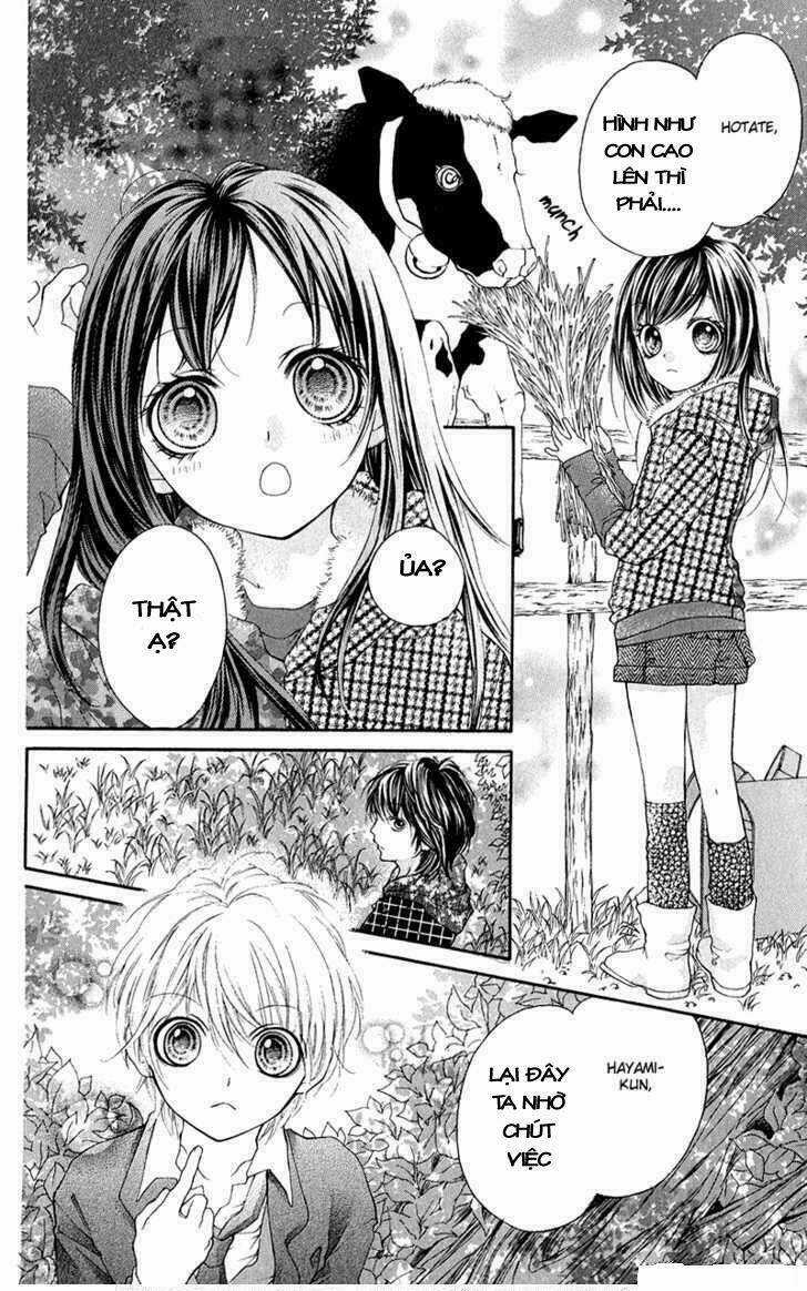 Yamamoto Zenjirou To Moushimasu Chapter 14 trang 5