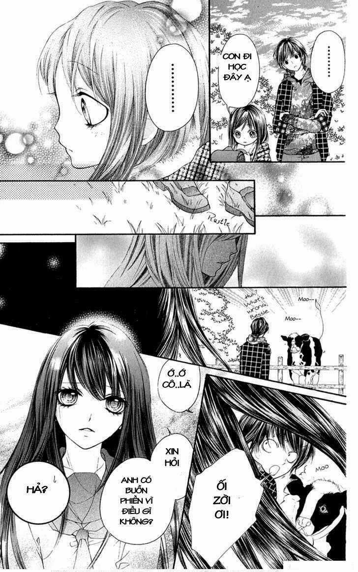 Yamamoto Zenjirou To Moushimasu Chapter 14 trang 8