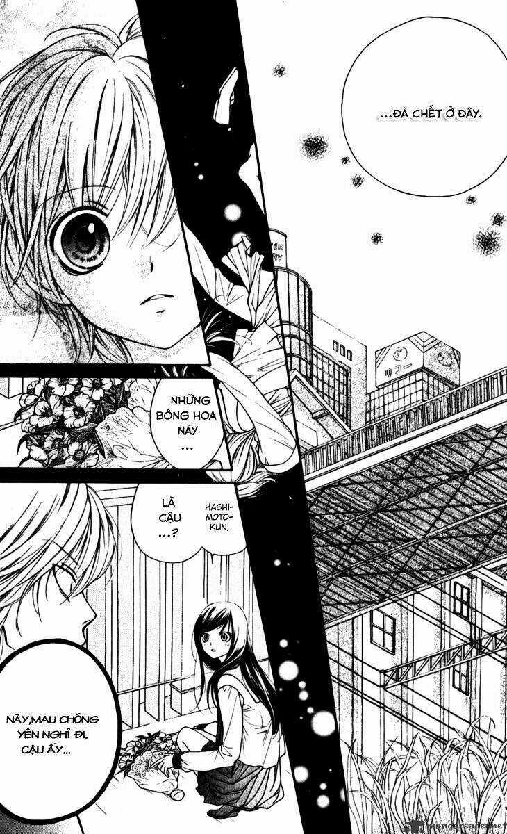 Yamamoto Zenjirou To Moushimasu Chapter 15 trang 24