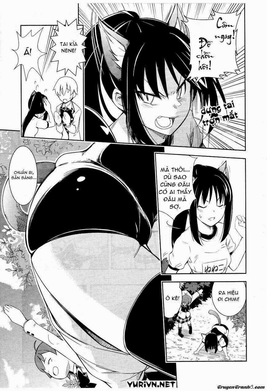 Yamanko! Chapter 11 trang 8