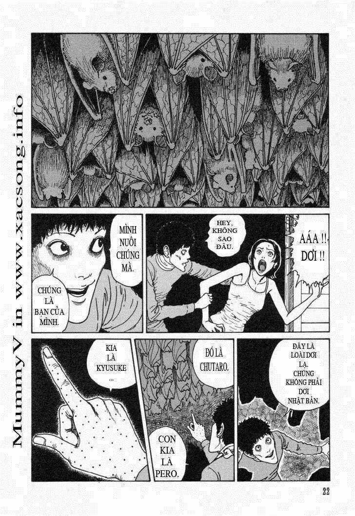 Yami No Koe ( Voices In The Dark) Chapter 1 trang 16