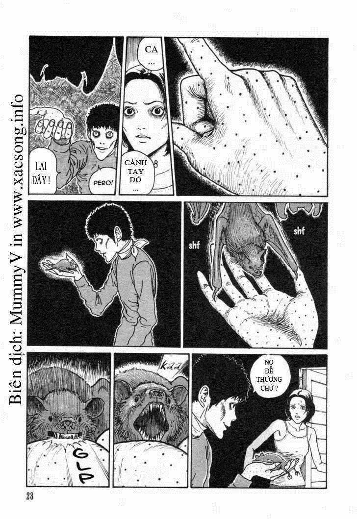Yami No Koe ( Voices In The Dark) Chapter 1 trang 17