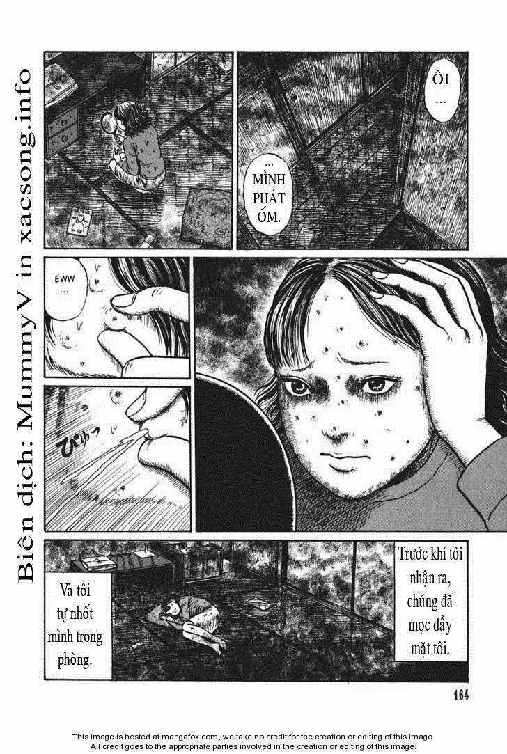 Yami No Koe ( Voices In The Dark) Chapter 5 trang 23