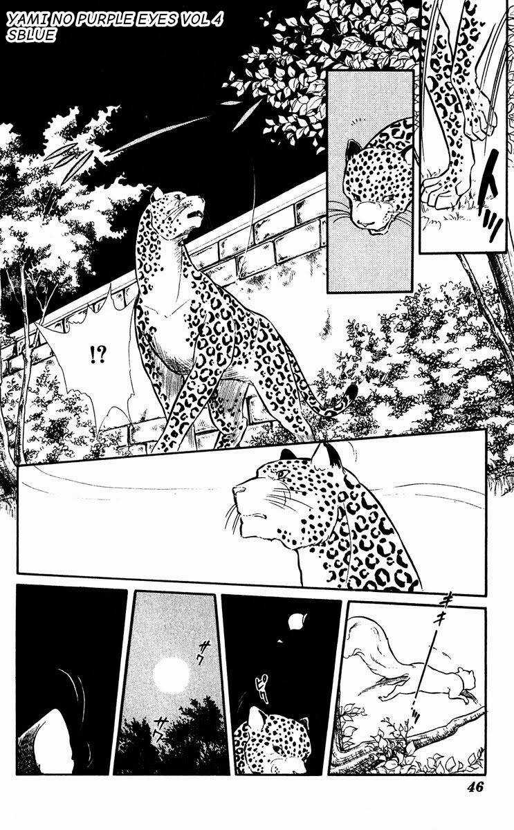 Yami No Purple Eyes Chapter 20 trang 12