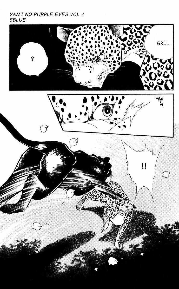 Yami No Purple Eyes Chapter 20 trang 13