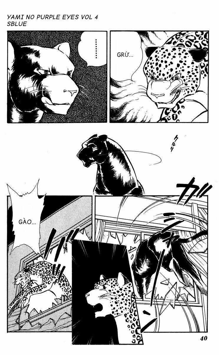 Yami No Purple Eyes Chapter 20 trang 7